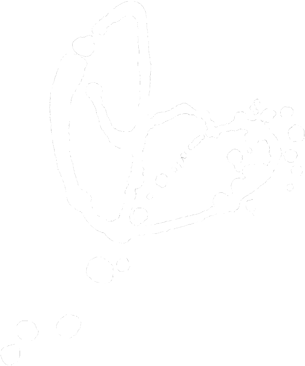 Sandra Berkhahn Logo